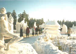 Winterimpressionen