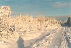 Winterimpressionen
